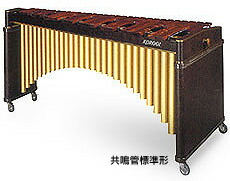 楽天市場】Alternate Mode 電子マリンバ malletKAT Grand 8【with音源