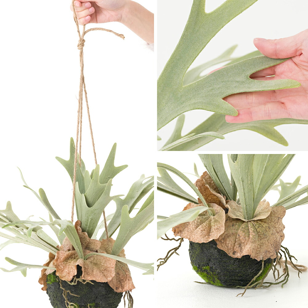 楽天市場】フェイクグリーン 吊り下げ ハンギングプランツ コウモリ