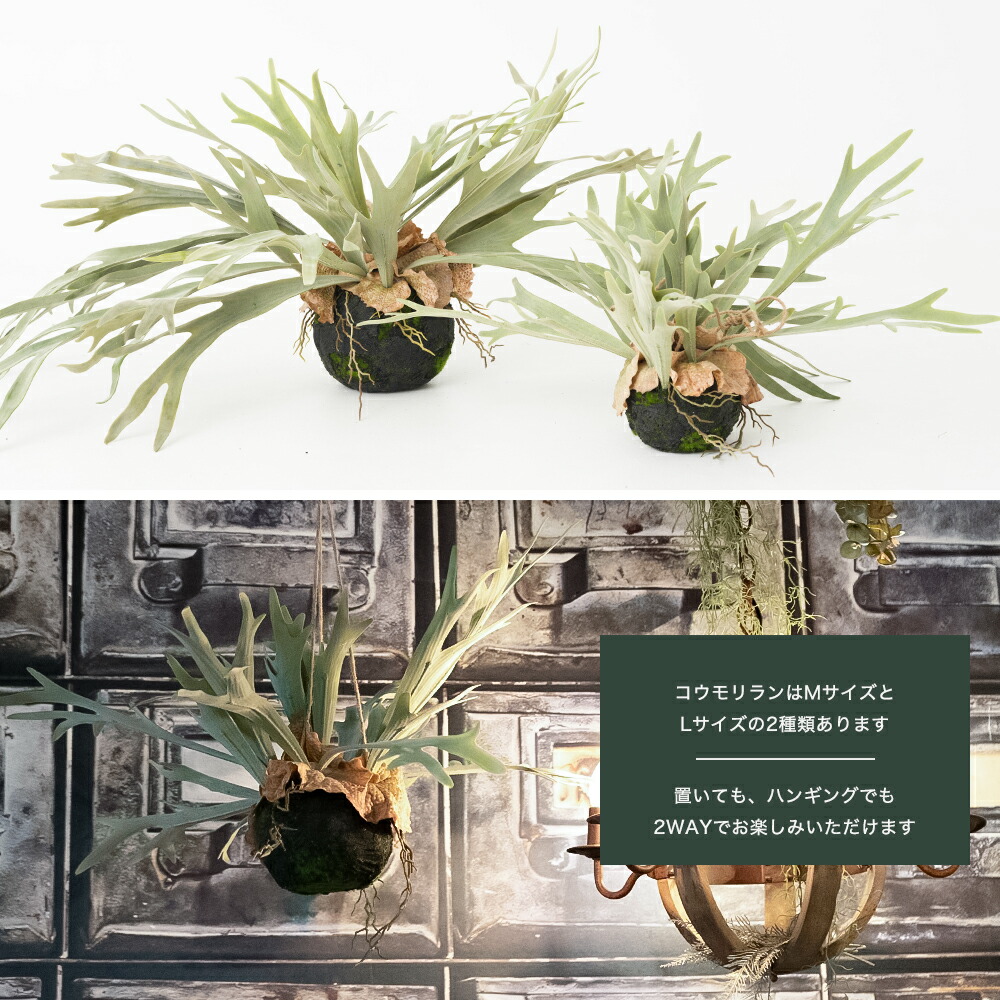 楽天市場】フェイクグリーン 吊り下げ ハンギングプランツ コウモリ