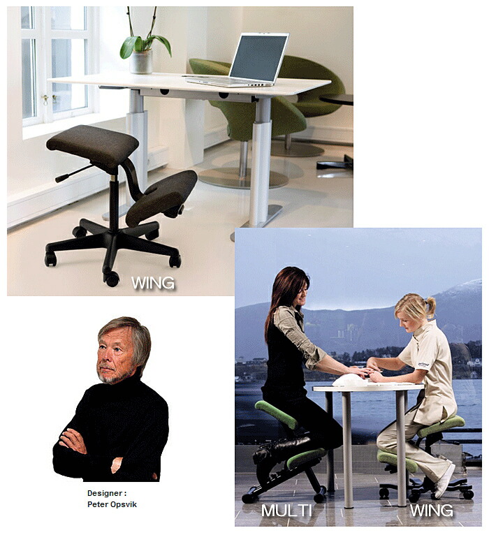 楽天市場】バランスウィング ブラック バランスチェア ヴァリエール