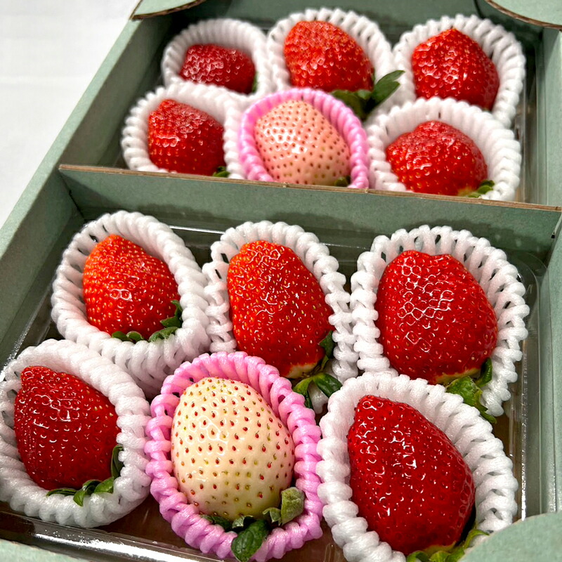 楽天市場】とちひめとミルキーベリー食べ比べMIX 2パックセット DX