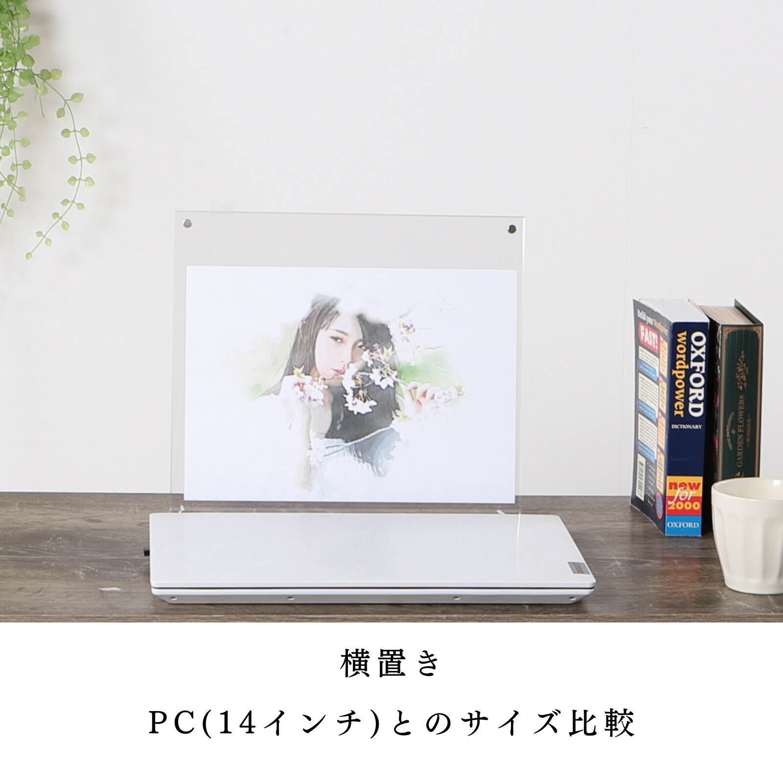 Free! DF アクリルフォトフレーム 2種 Free! Free! DF アクリルフォト