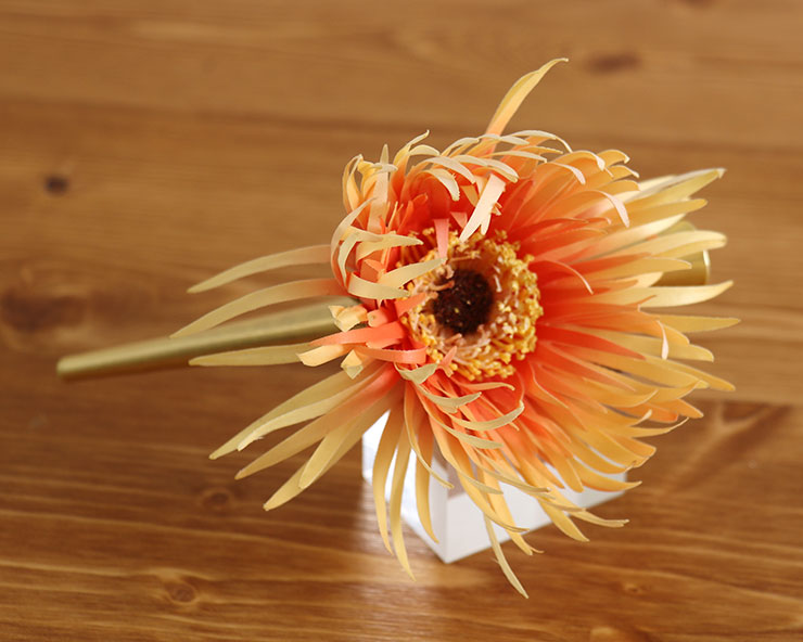 楽天市場】＼2点で3％OFFクーポン／[特別価格] 髪飾り ダッカール