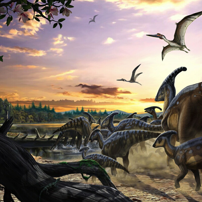 楽天市場】[全品10％OFF×25日限定クーポン+P10倍 25日20時〜4H]壁紙