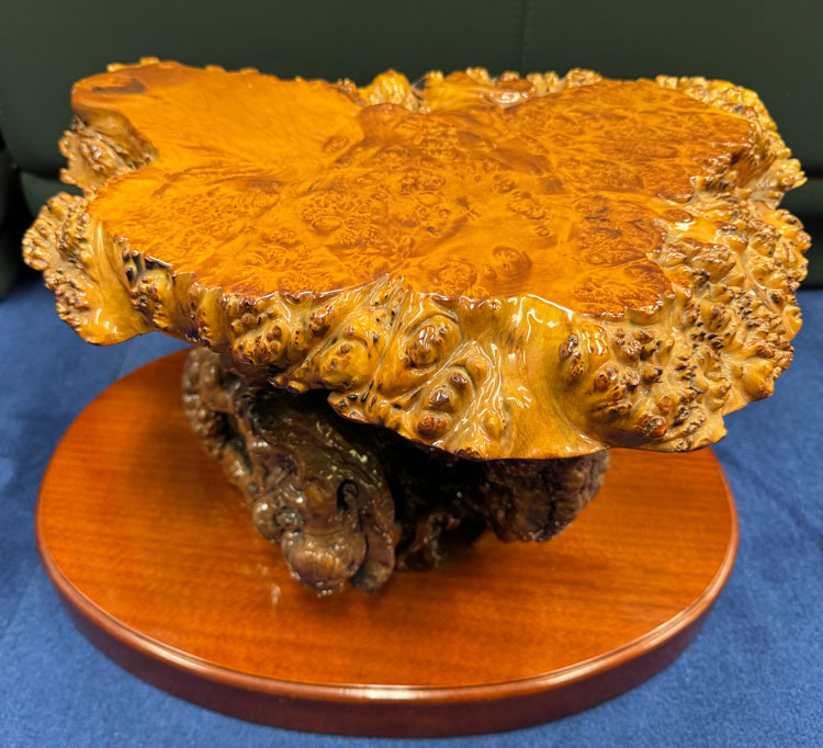 天然木 瘤（こぶ） 飾り台 花台 変木台 アウトレット 展示品 【商品