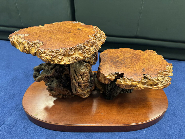 楽天市場】送料無料 木の根 飾り台 W75cm 高級 花台 盆栽卓 根卓 飾台