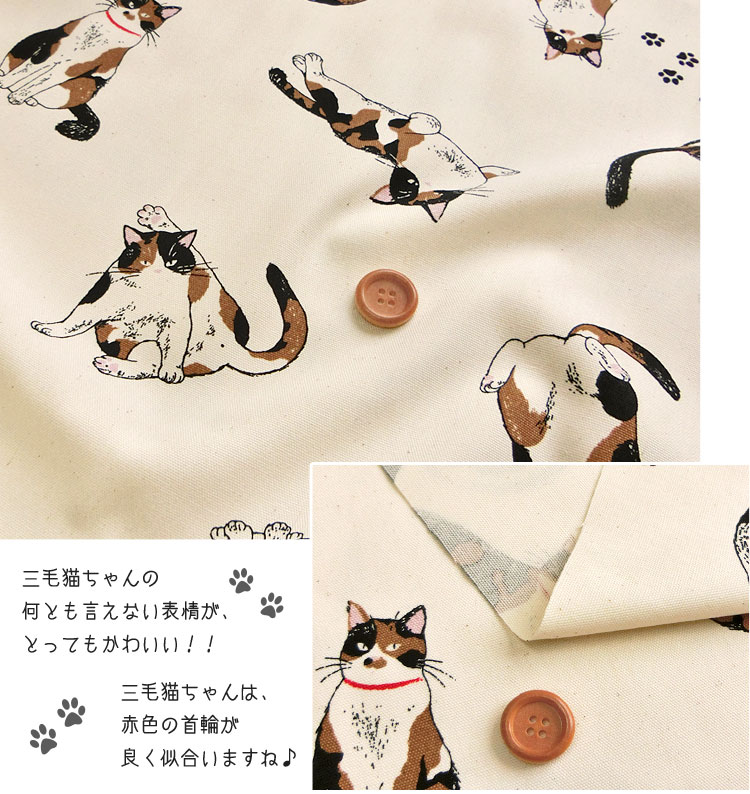 楽天市場】▽まったり◇三毛猫ちゃん≪オックスプリント≫※108cm