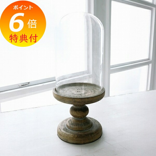 楽天市場】【特典付き】 ラスティパイン・ガラスケース L コベント