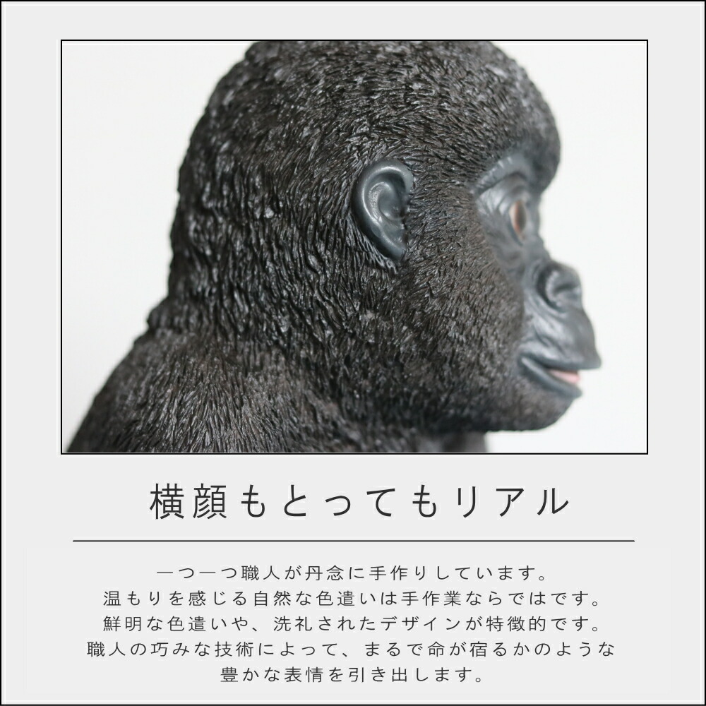 楽天市場】【在庫限り 20％OFFクーポン】【特典付】( 赤ちゃんゴリラ
