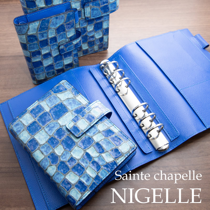 ブルーの探索、パルデアの仲間たち パルデアの仲間たち」の人気商品