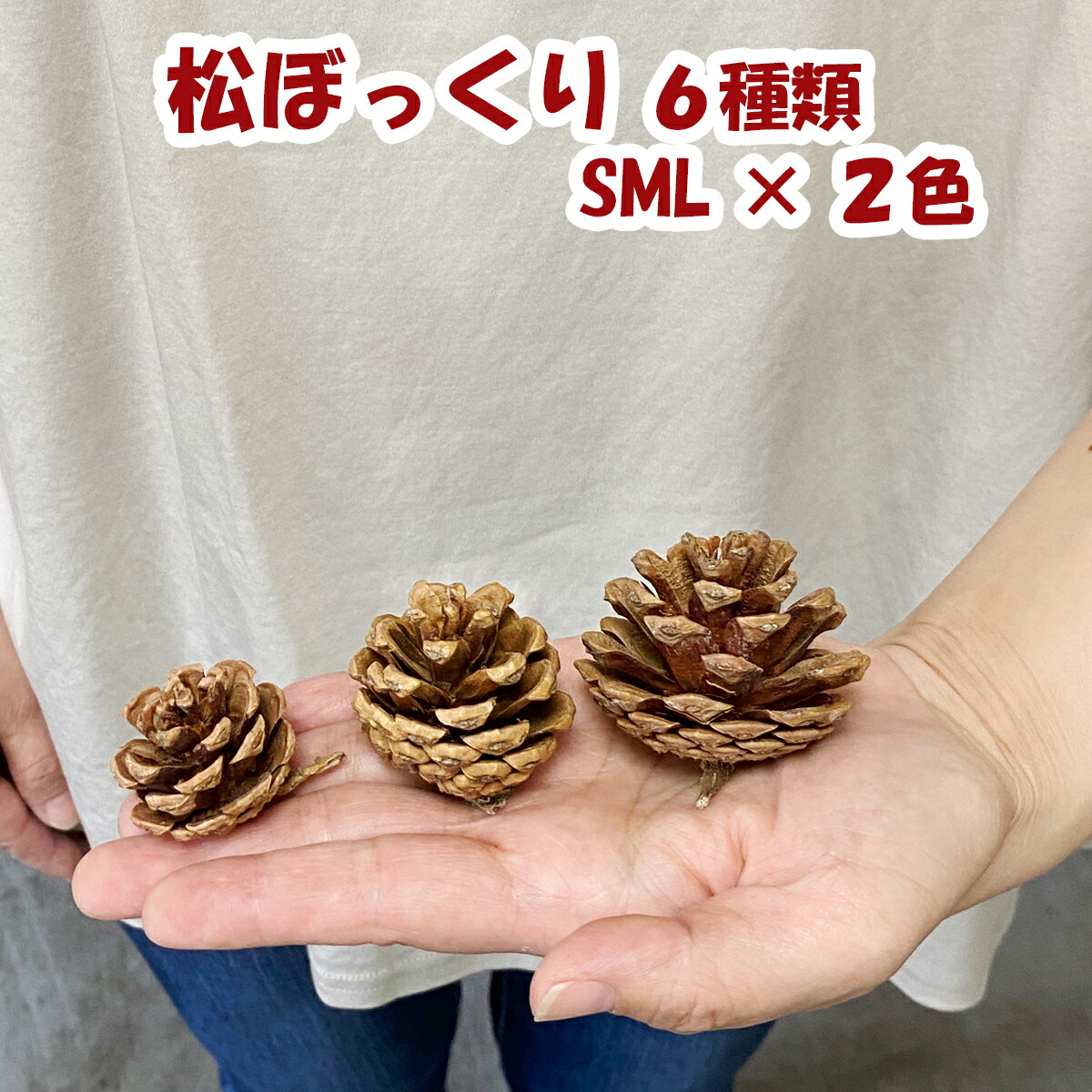 楽天市場】秀〆 水引 材料 松ぼっくり パーツ 素材 ハンドメイド