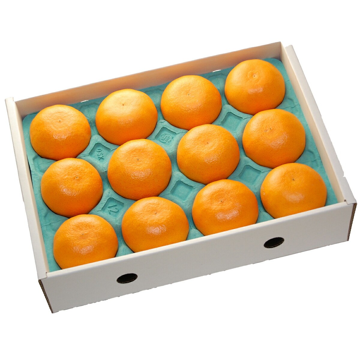 楽天市場】ハウス せとか 2L-3L (約3kg) 愛媛/佐賀産 秀品 贈答 ギフト