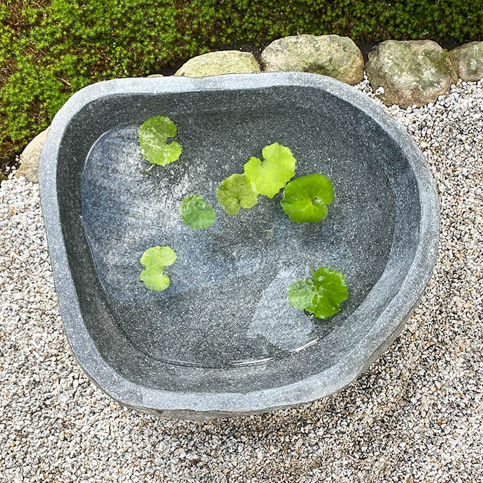 楽天市場】水鉢 石 庭園 和風 （47×41×15cm 26.5kg P）【 睡蓮鉢