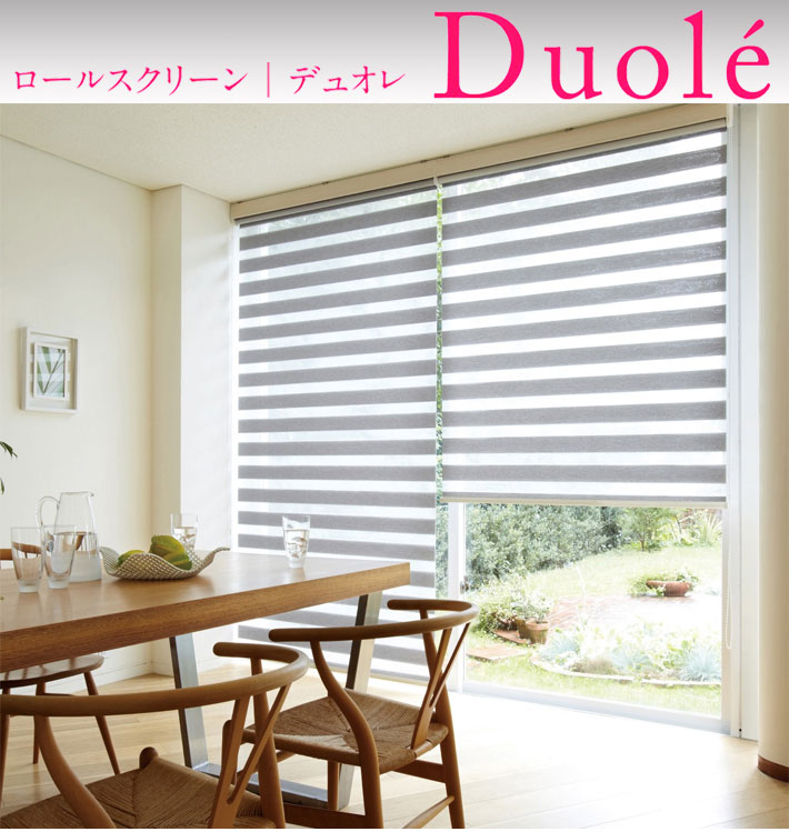 タチカワブラインド ロールスクリーン デュオレ