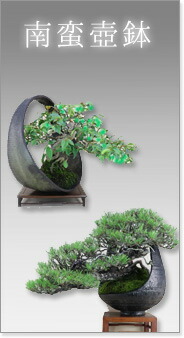 甲州野梅 梅乃宿 BLOSSOM STRAWBERRY 720ml/1800ml｜地酒専門店 - いそべ酒店