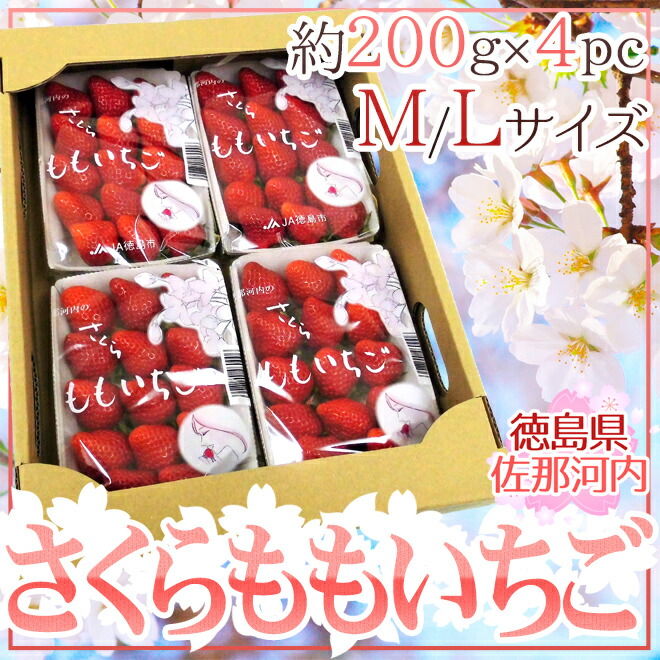 徳島県佐那河内村 ”さくらももいちご” M/Lサイズ 約200g×4pc【予約 12