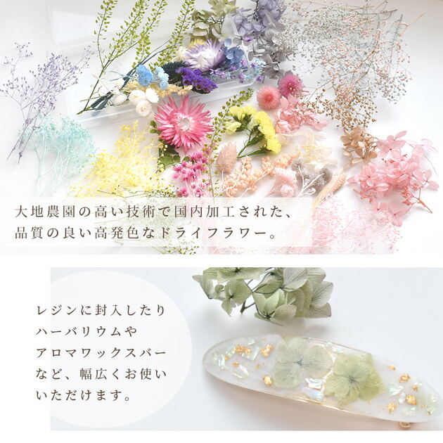 楽天市場】ドライフラワー 大地農園 アソート セット 全5種類 ケース付