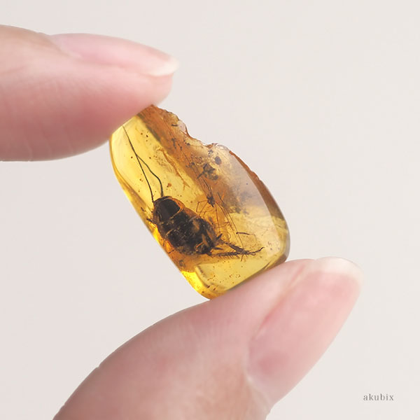 天然琥珀 虫入り約800g 特大 宝石鑑別書横10cm 縦19cm 厚さ約5cm 天然