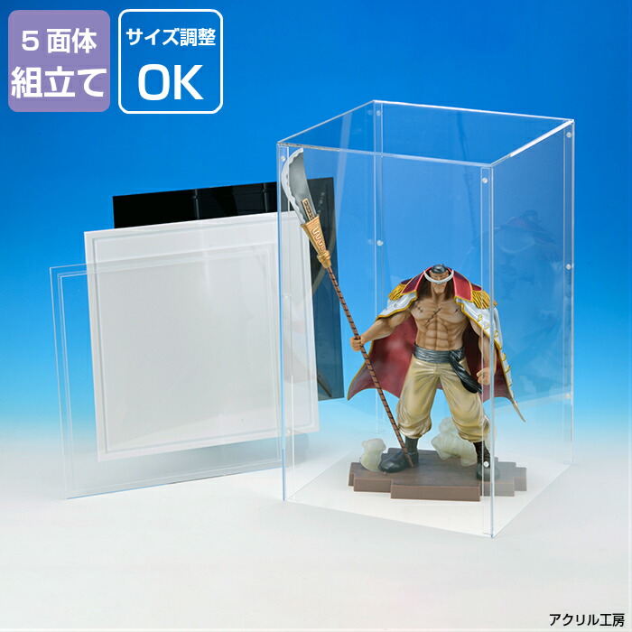 透明コレクションケース 組み立てタイプ　15個セット 透明コレクションケース 組み立てタイプ | DAISOの輪