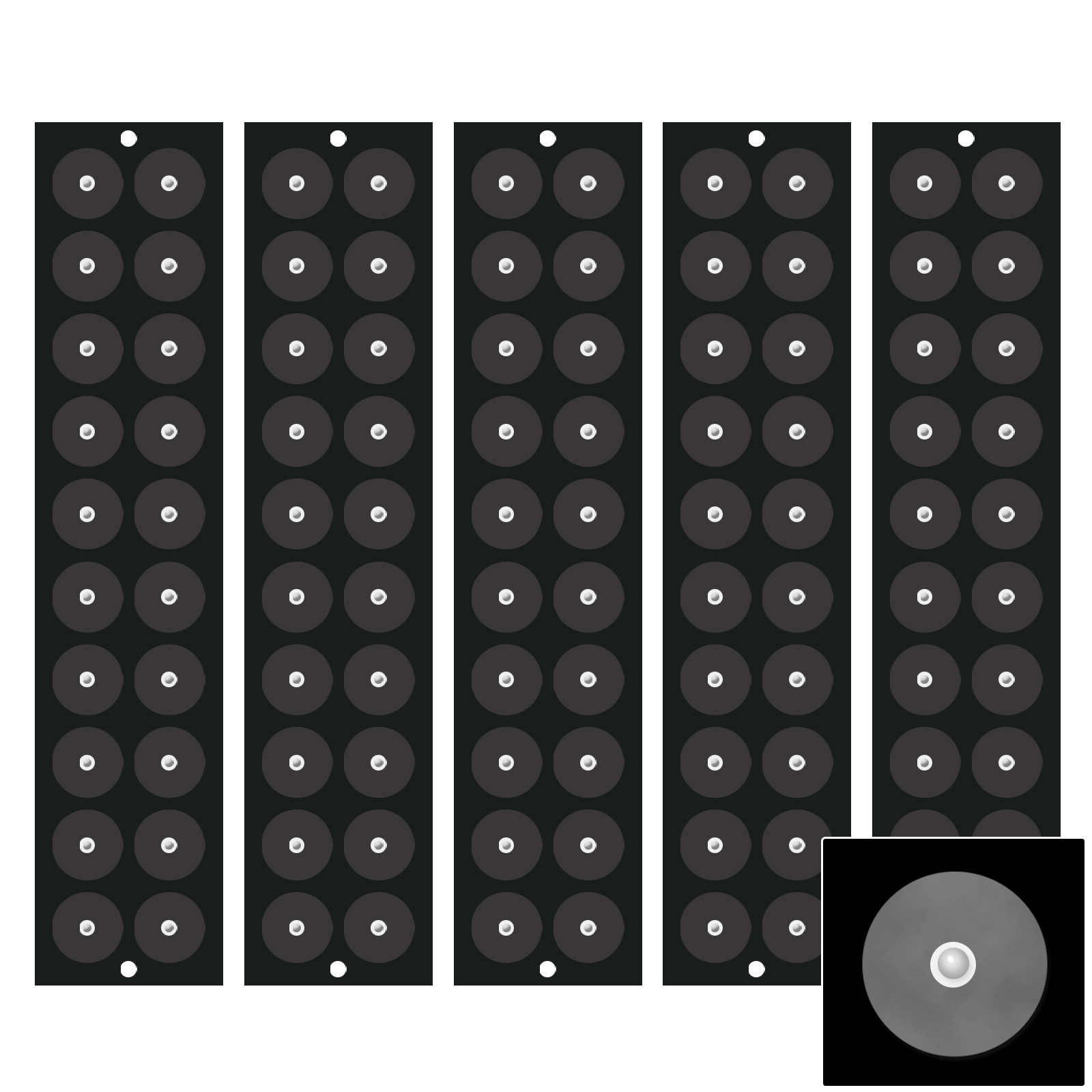楽天市場】日本製シール販売店【耳つぼシール クリア金粒 100粒/200粒