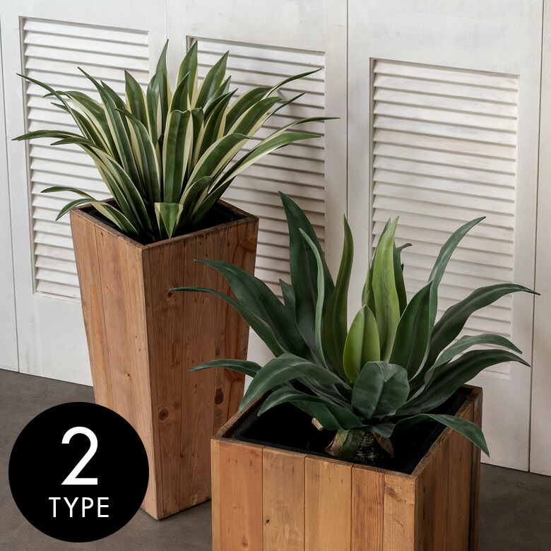 楽天市場】フェイクグリーン フェイクプランツ アガペ 観葉植物