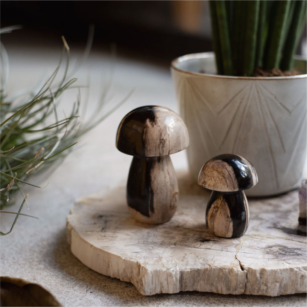 楽天市場】amabro MUSHROOM STONE -Petrified Wood- オブジェ 置物