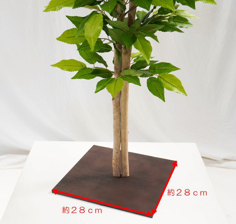 楽天市場】ケヤキの木 高さ100cm (フェイクグリーン 造花 欅 ツキ 槻