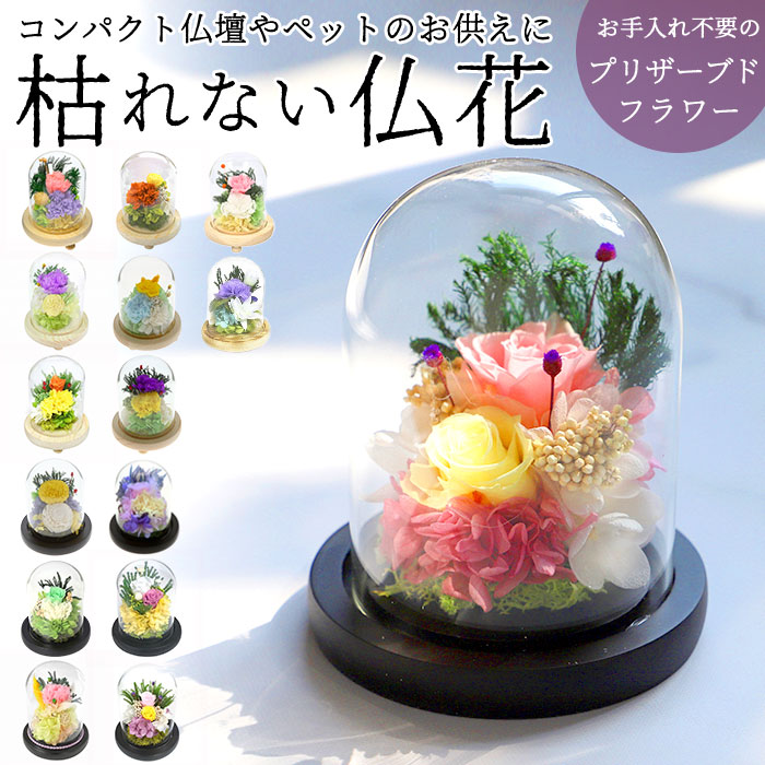 楽天市場】プリザーブドフラワー ガラスドーム 通販 仏花 仏壇用