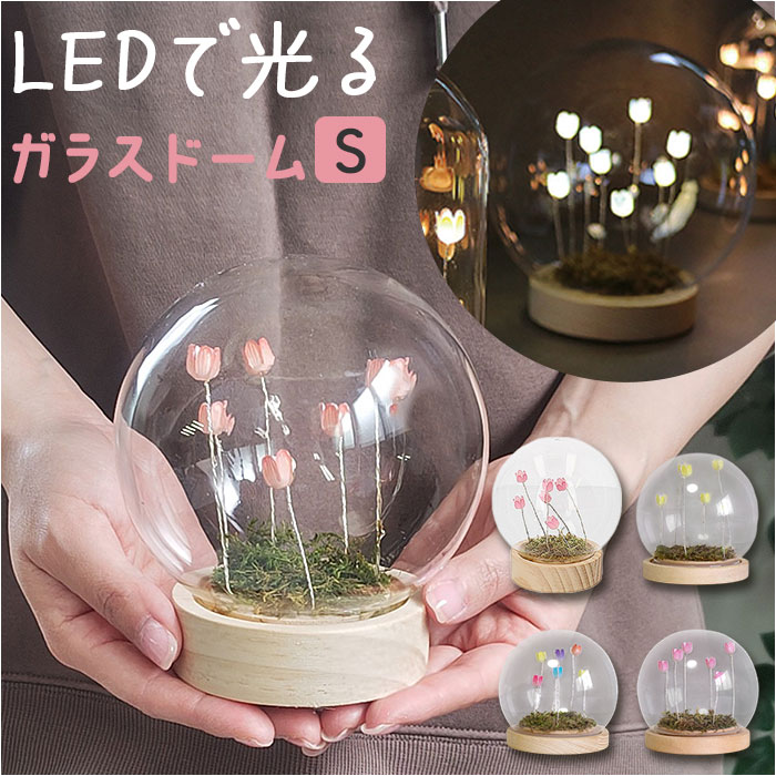 ガラスドーム フラワー 通販 チューリップ ガラスボールS LED ガラス