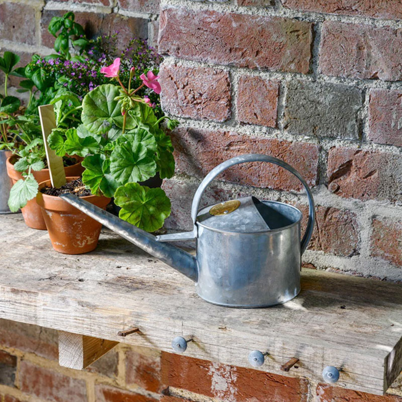 楽天市場】英国 Burgon＆Ball ソフィ・コンラン インドアカン 1L