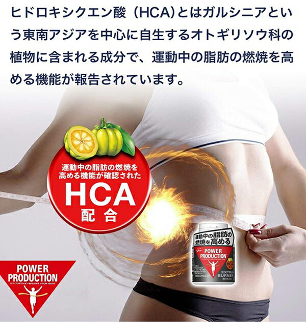 楽天市場】グリコ パワープロダクション エキストラ バーナー 燃焼系