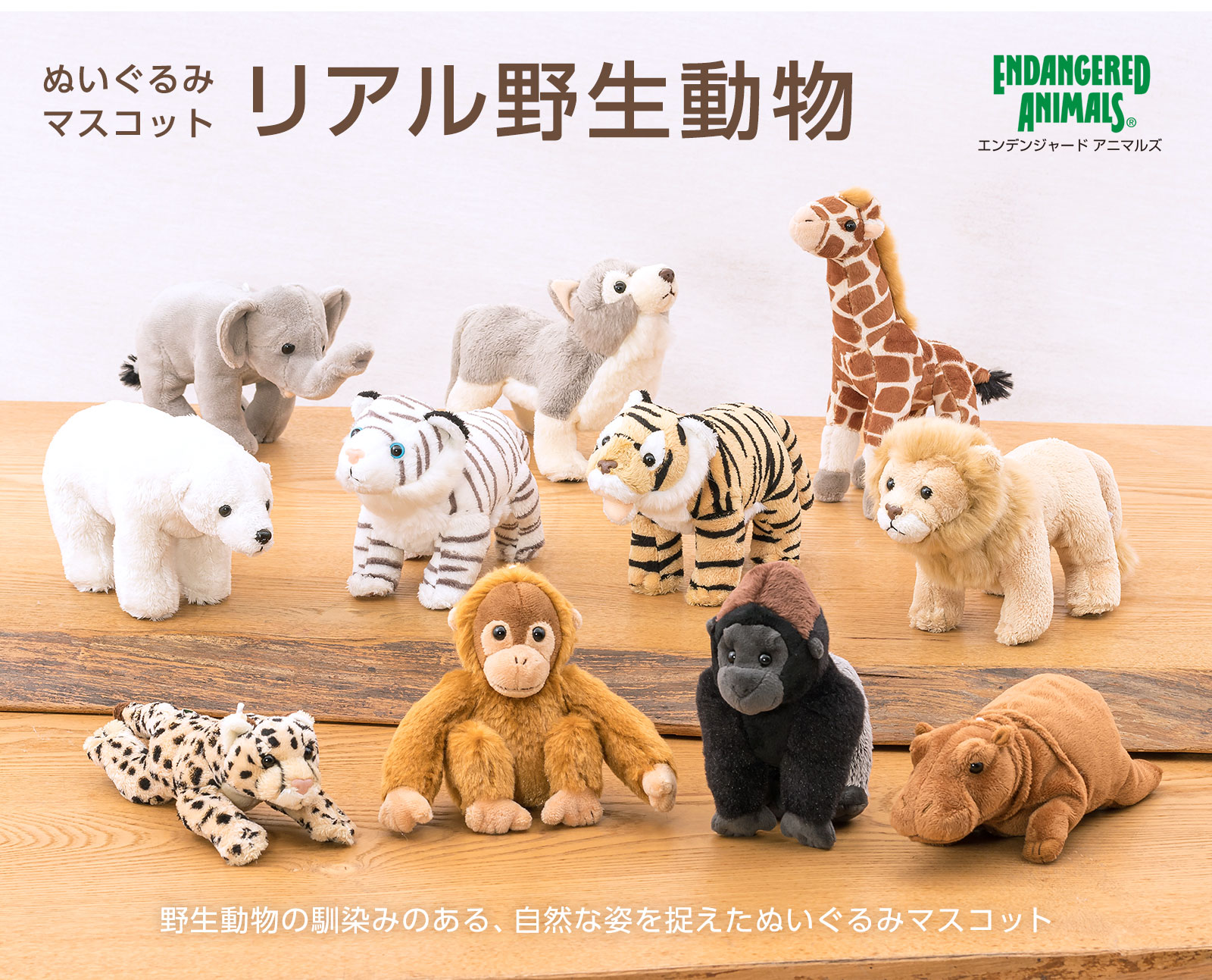 楽天市場】ぬいぐるみマスコット リアル野生動物 全11種 | ライオン