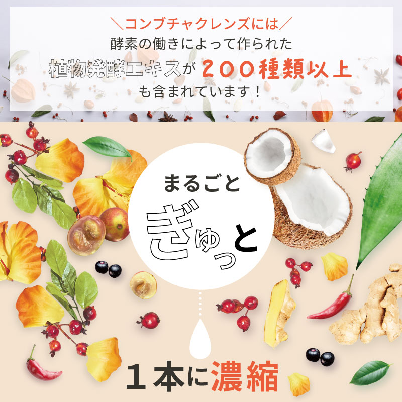 楽天市場】【公式】コンブチャクレンズ 720ml KOMBUCHA CLEANSE 2本・3