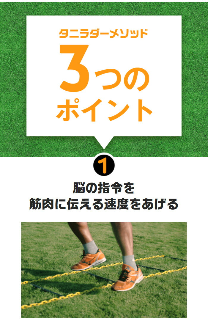 楽天市場】タニラダーベーシック シングルセット（サッカー版）DVD