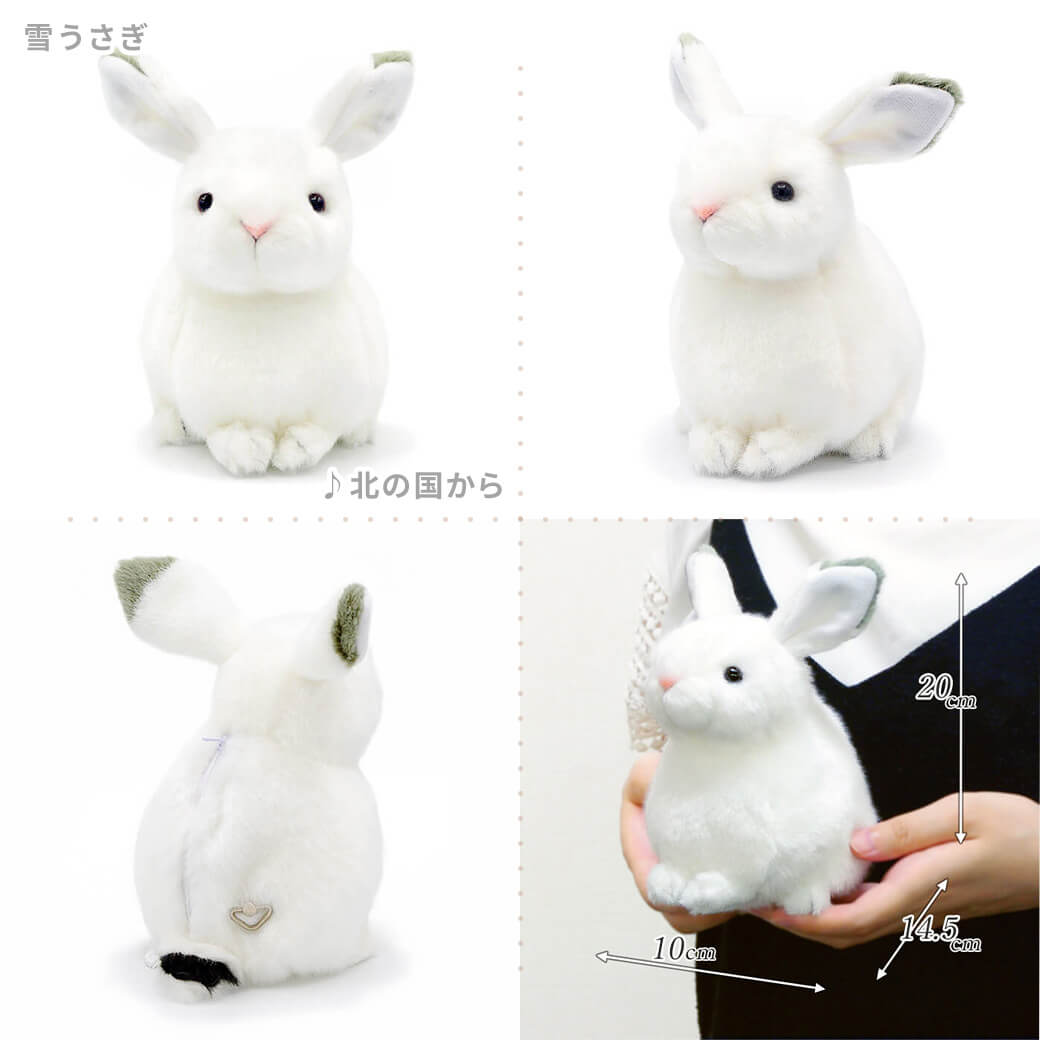 楽天市場】ぬいぐるみ ｢オルゴールぬいぐるみ｣ (電報なし) 送料無料