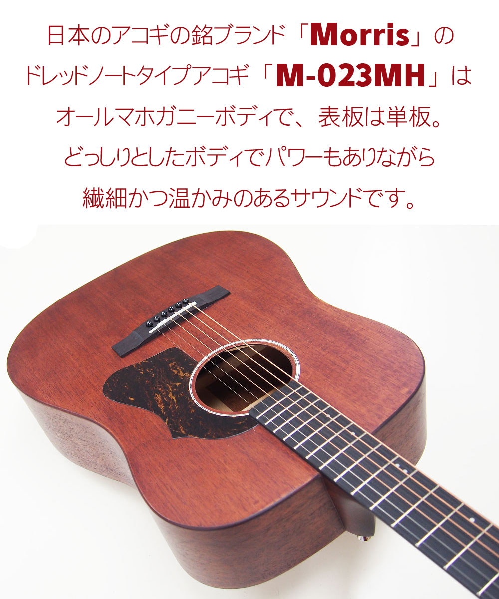 楽天市場】アコースティックギター Morris M-023 MH モーリス