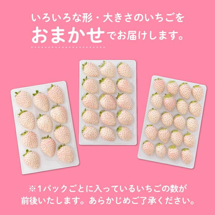 楽天市場】【ふるさと納税】希少 白いちご「パールホワイト」220g×4