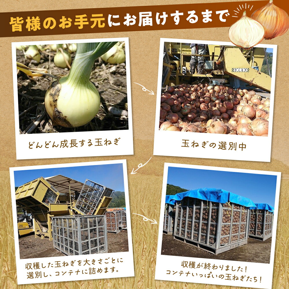 楽天市場】【ふるさと納税】令和8年産 特別栽培玉ねぎ 5kg〜20kg