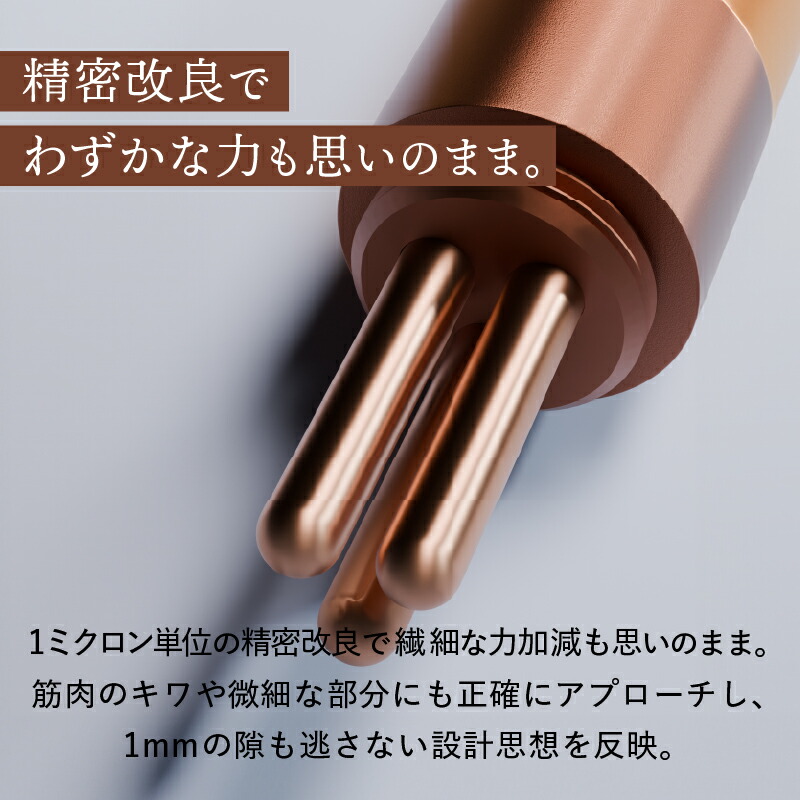 楽天市場】【ふるさと納税】【数量限定】The FACE POiNTER 7th