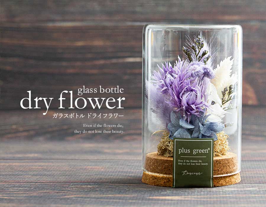 楽天市場】ドライフラワー ガラスドーム ガラスボトル 花 ボトル