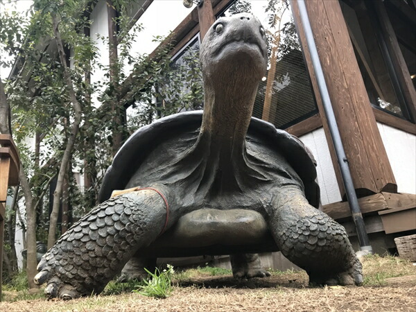 楽天市場】FRPアニマルオブジェ ガラパゴスの陸亀ガーデンオーナメント