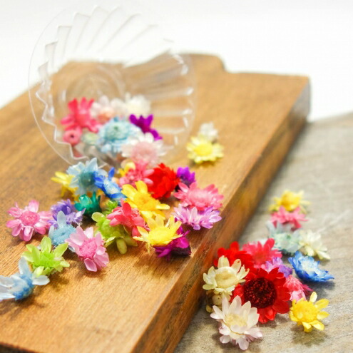 訳ありドライフラワー- 手作り雑貨屋 * 雑貨好きによる雑貨好きのため