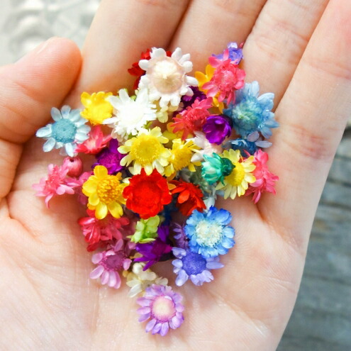 訳ありドライフラワー- 手作り雑貨屋 * 雑貨好きによる雑貨好きのため