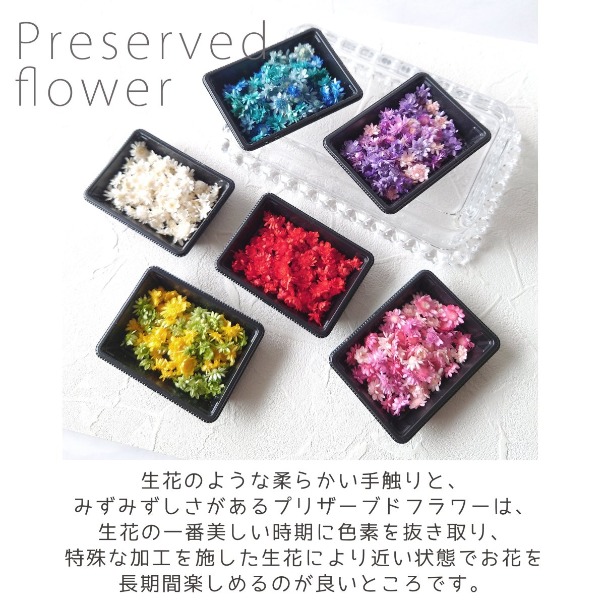 訳ありアウトレット ドライフラワー スターフラワー - 手作り雑貨屋