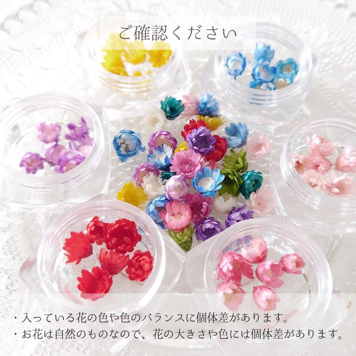 6色36輪 カラーお任せ(^^♪つぼみが可愛いスターフラワー サイズmix