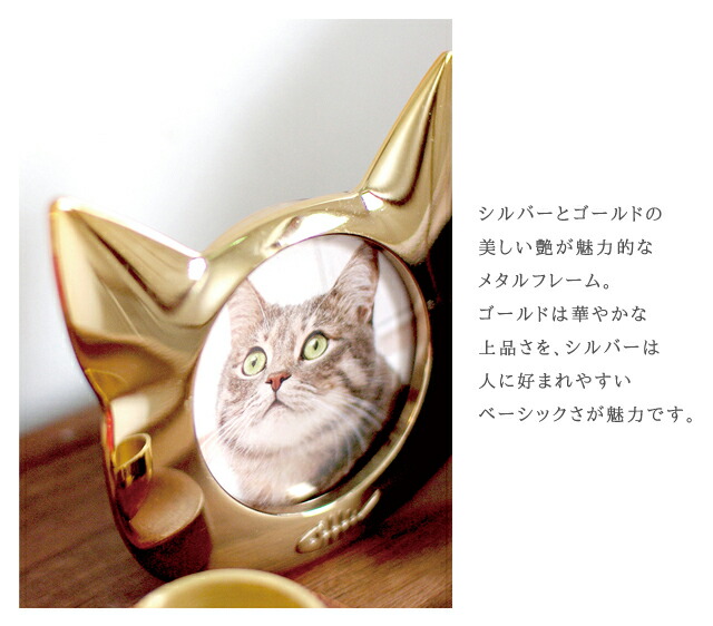 楽天市場】ペット フォトフレーム アニマル 動物 犬 猫 ココ Coco 写真