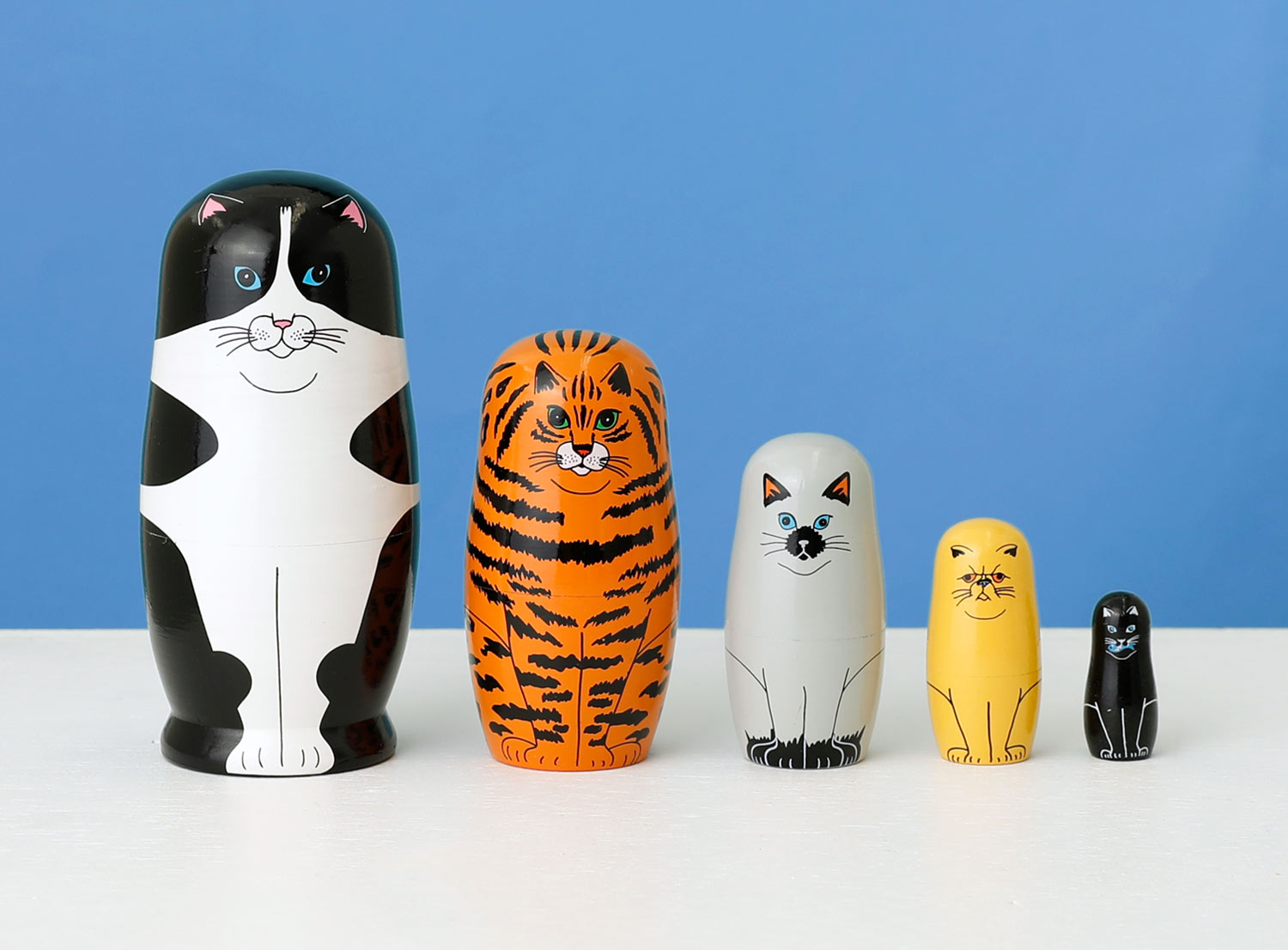 MIDORI KOMATSU Plays with DETAIL INC | Feline 5 フィーライン