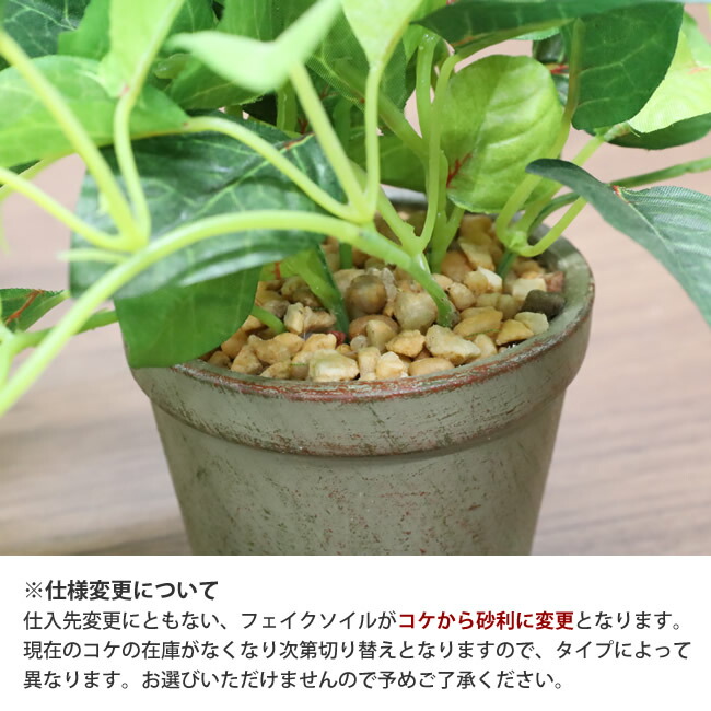 楽天市場】光触媒フェイク グリーン 光の楽園ミニグリーンポット