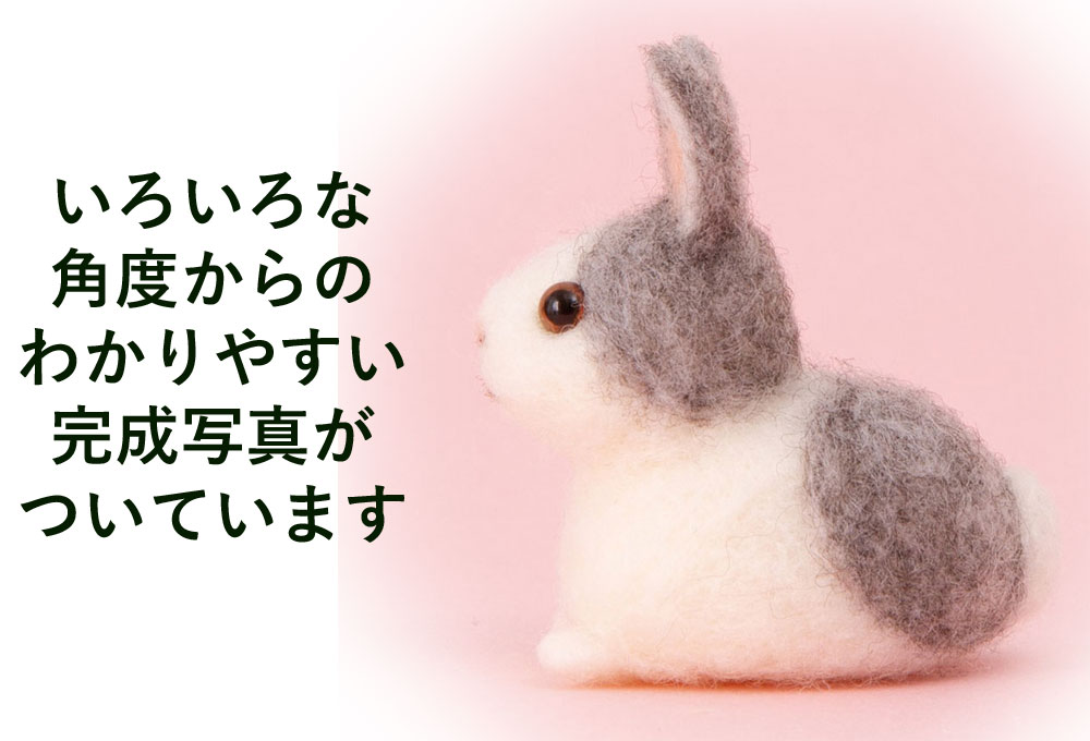 楽天市場】アクレーヌスターターセット付き 赤ちゃんウサギ 手作り