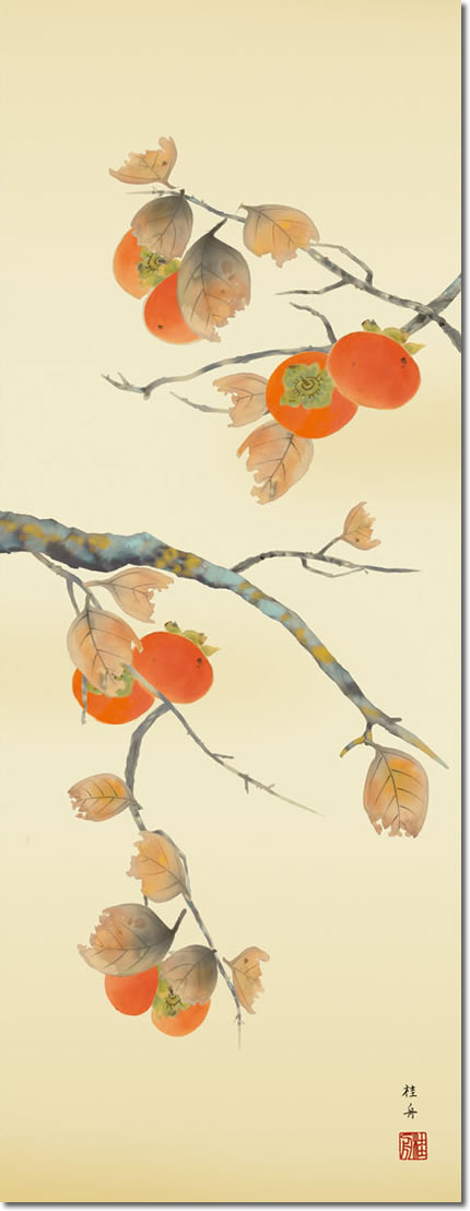 掛軸 掛け軸-柿/長江桂舟(尺三)小さい床の間 和室 モダン お洒落 日本